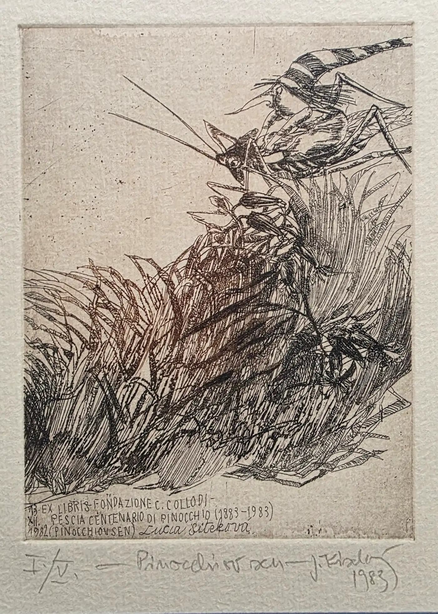 Pinocchiov sen