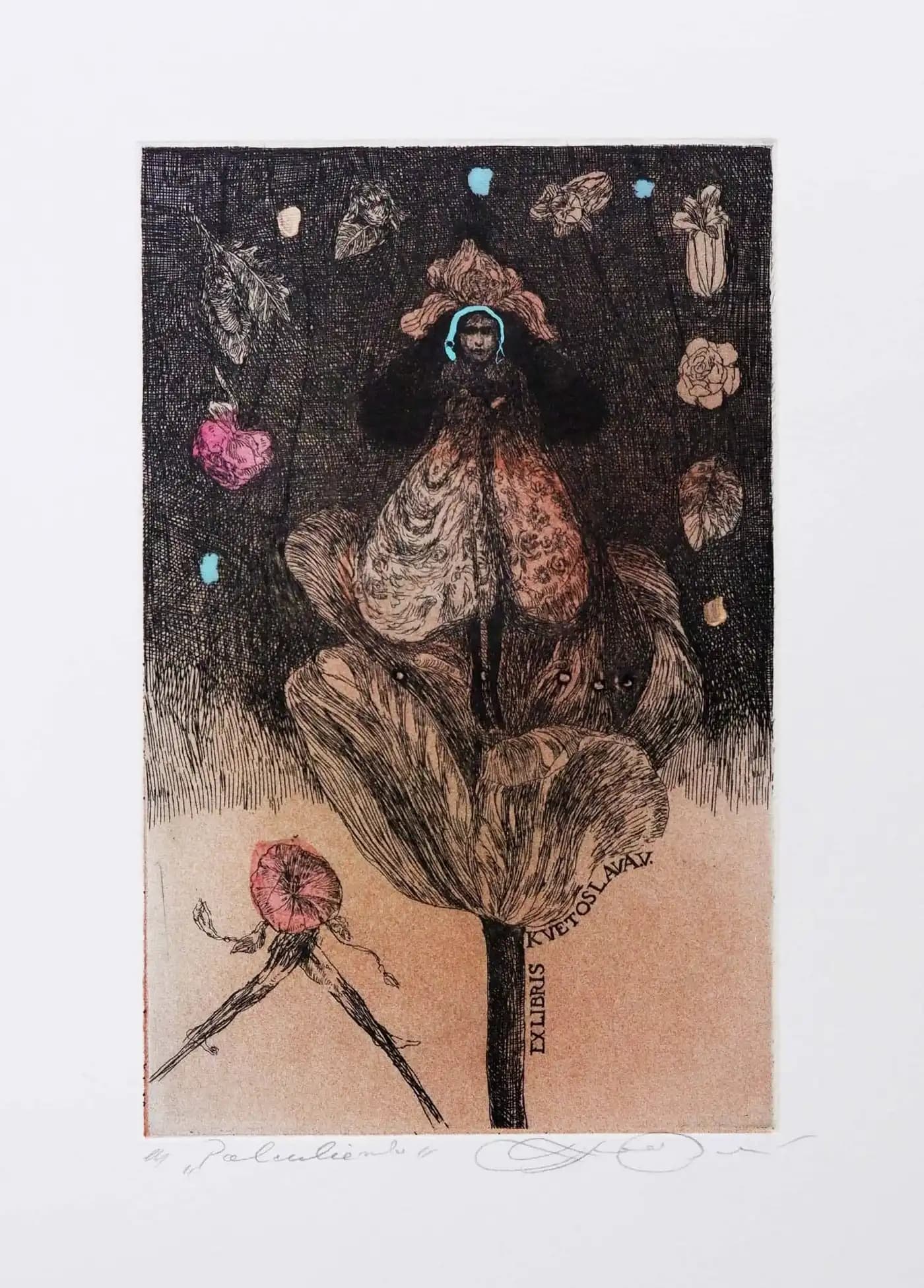 Palculienka - Exl.Kvetoslava V.