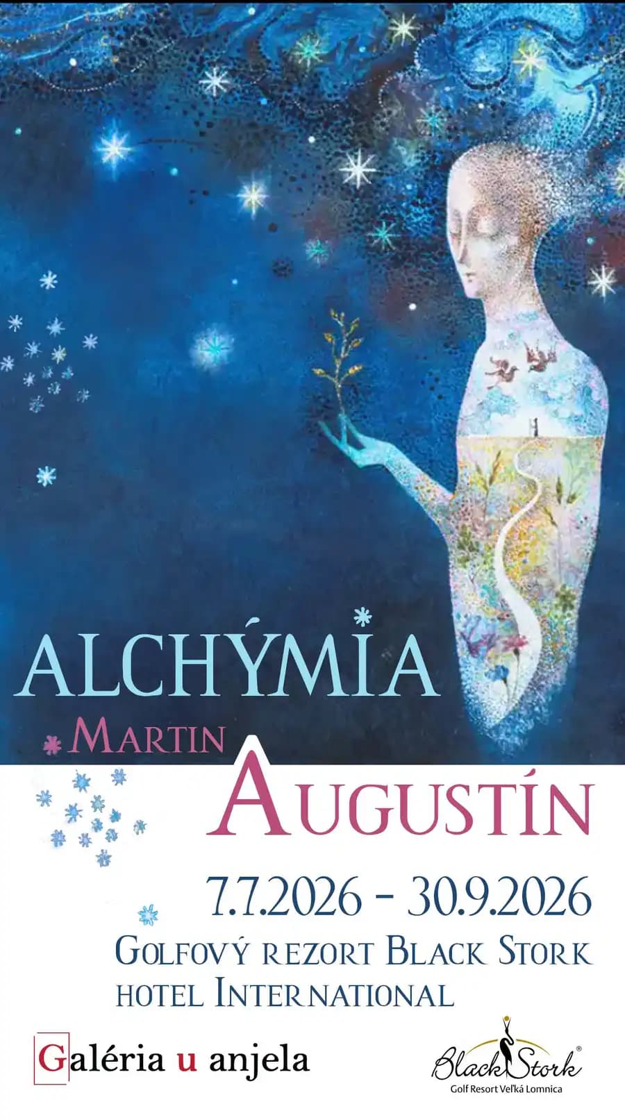 Martin Augustín - Alchýmia