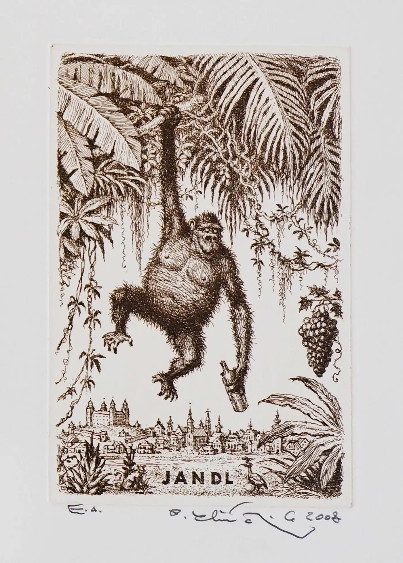 Jandl - Opica